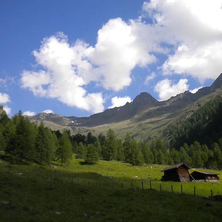 Bed & Breakfast Dolomiti Bey Haus Pinter Assling Buitenkant foto