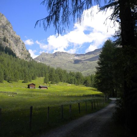 Bed & Breakfast Dolomiti Bey Haus Pinter Assling Buitenkant foto