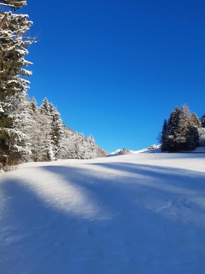 Bed & Breakfast Dolomiti Bey Haus Pinter Assling Buitenkant foto