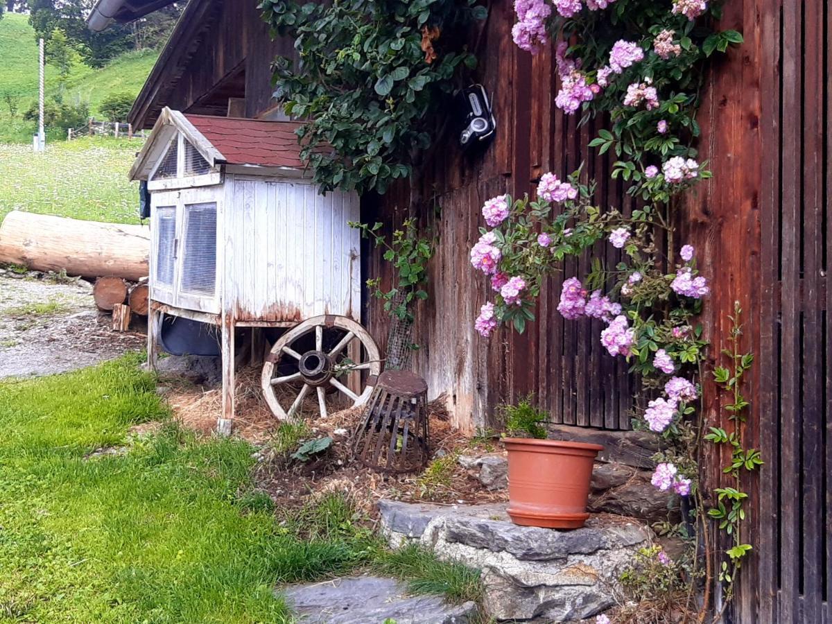 Bed & Breakfast Dolomiti Bey Haus Pinter Assling Buitenkant foto