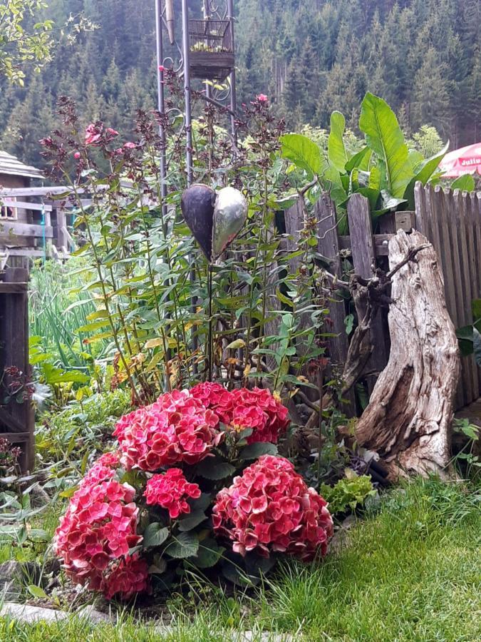 Bed & Breakfast Dolomiti Bey Haus Pinter Assling Buitenkant foto