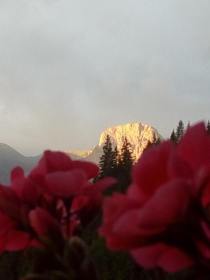 Bed & Breakfast Dolomiti Bey Haus Pinter Assling Buitenkant foto