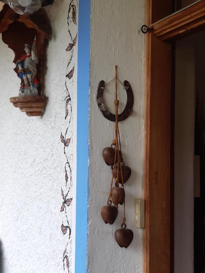 Bed & Breakfast Dolomiti Bey Haus Pinter Assling Buitenkant foto