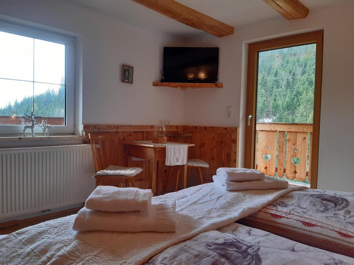 Bed & Breakfast Dolomiti Bey Haus Pinter Assling Buitenkant foto