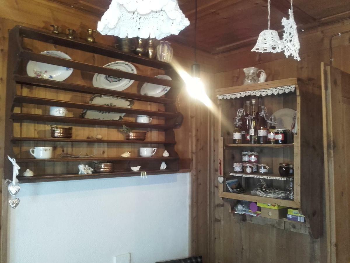 Bed & Breakfast Dolomiti Bey Haus Pinter Assling Buitenkant foto