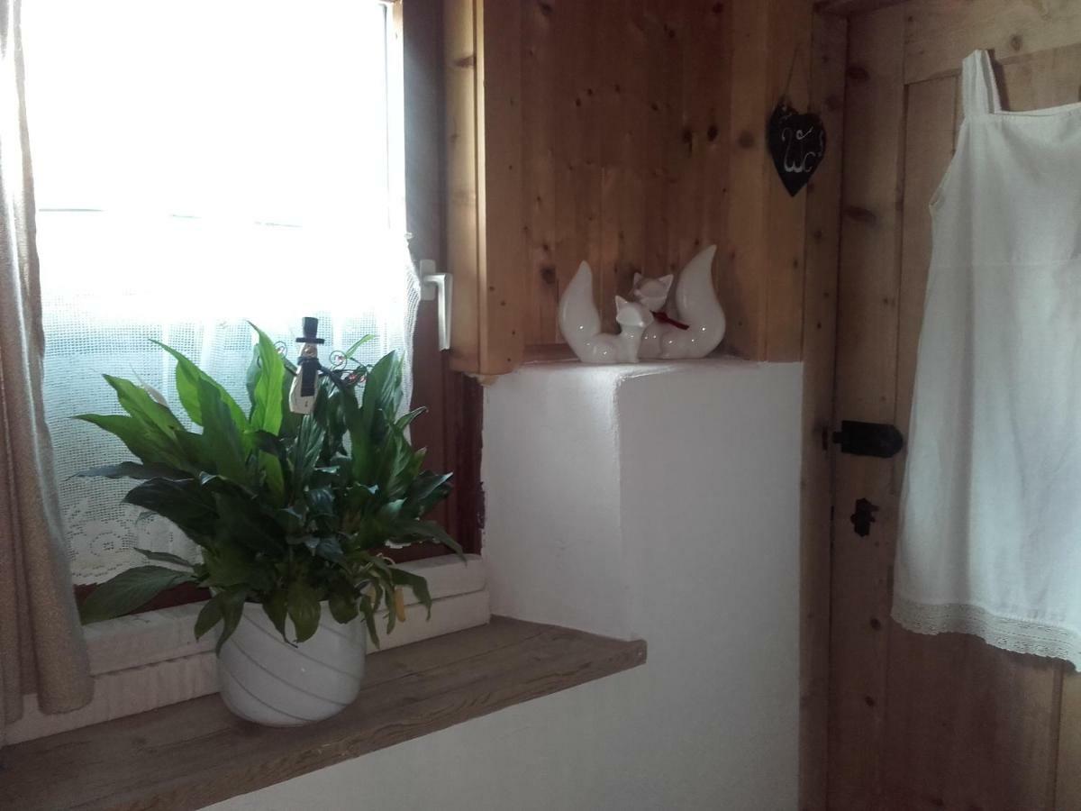 Bed & Breakfast Dolomiti Bey Haus Pinter Assling Buitenkant foto
