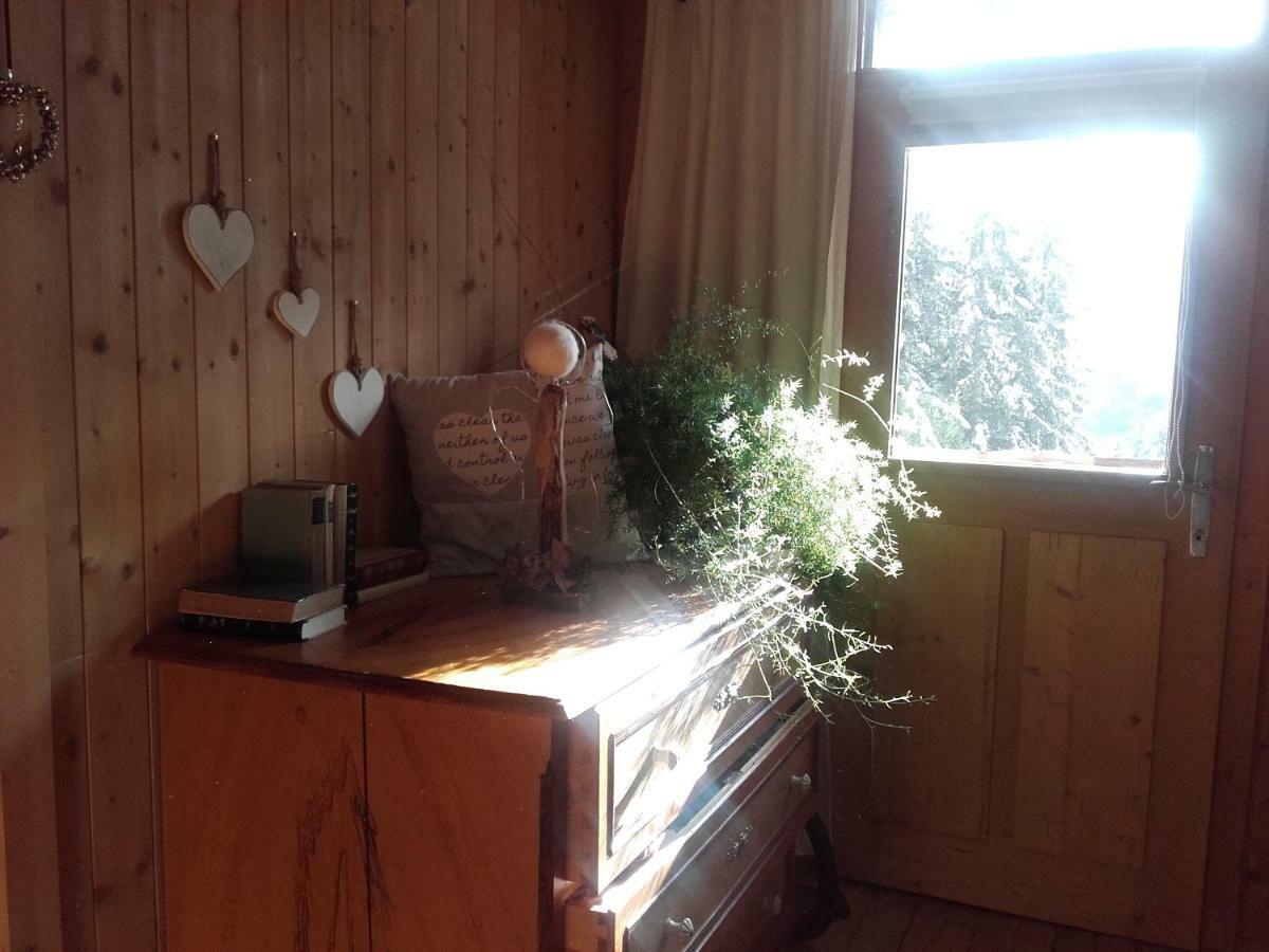 Bed & Breakfast Dolomiti Bey Haus Pinter Assling Buitenkant foto