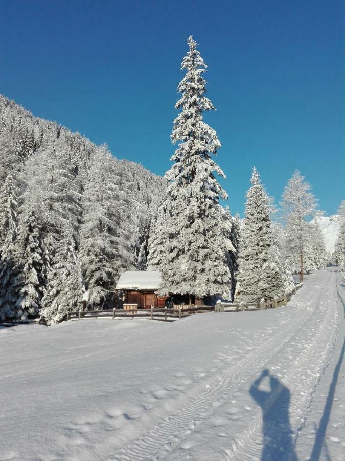 Bed & Breakfast Dolomiti Bey Haus Pinter Assling Buitenkant foto