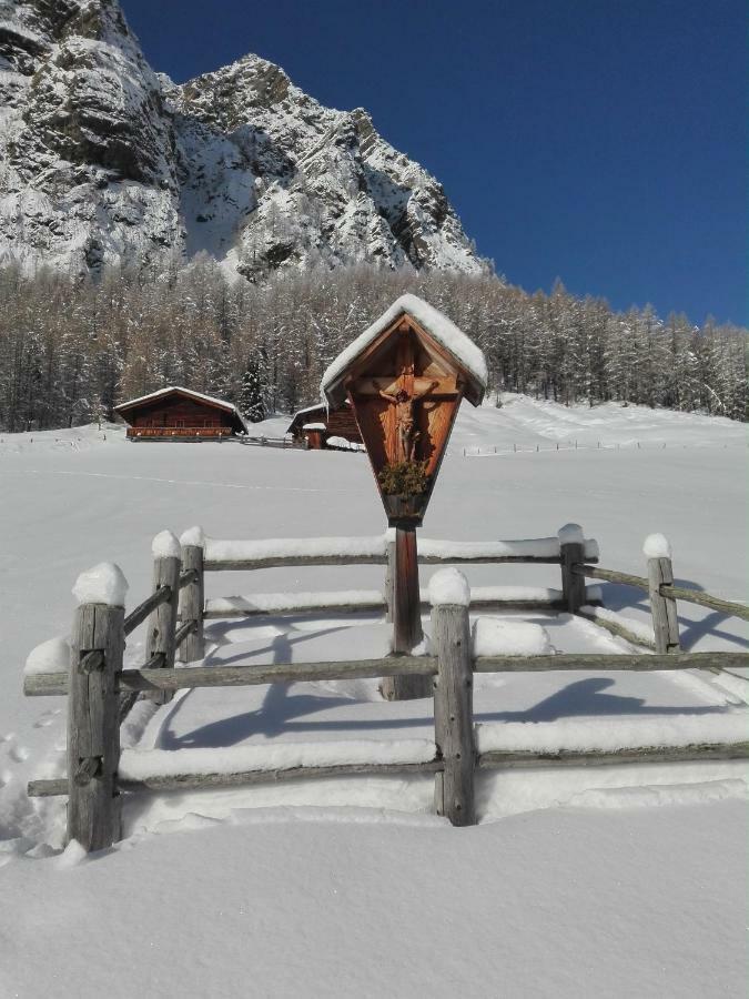 Bed & Breakfast Dolomiti Bey Haus Pinter Assling Buitenkant foto