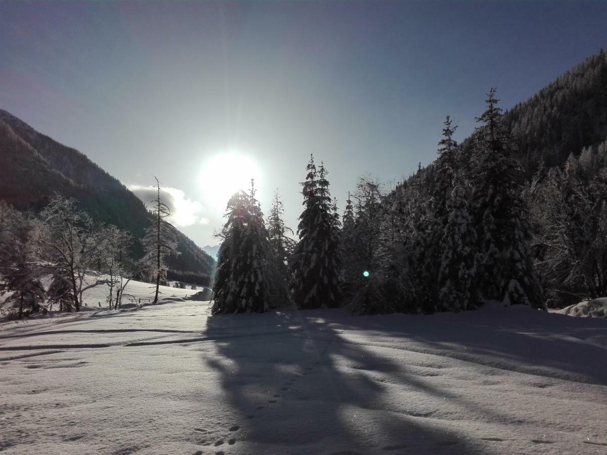 Bed & Breakfast Dolomiti Bey Haus Pinter Assling Buitenkant foto